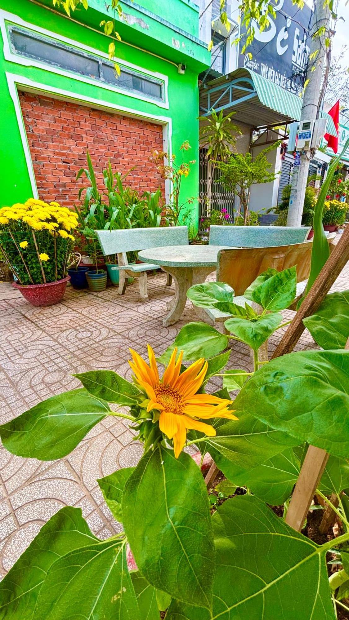 Thuy Hang Motel Long Hai Exterior foto